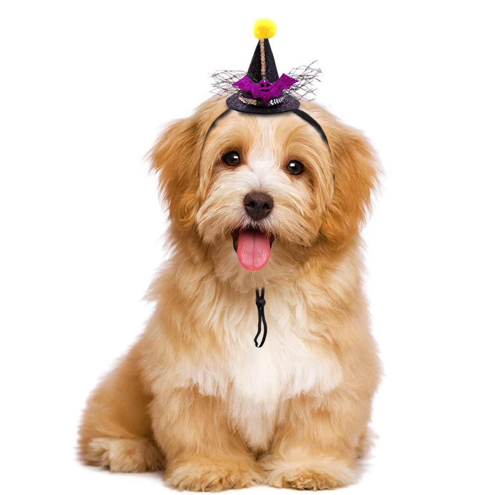 Wholesale  pet hat  cat and dog headdress adjustable decorations